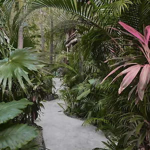 https://hotel-boutique-terranova.allrivieramayahotels.com