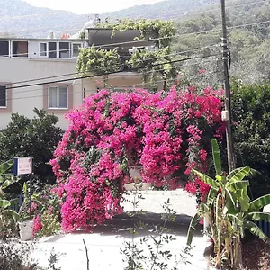 https://rose-apart.aegeanhotels.net